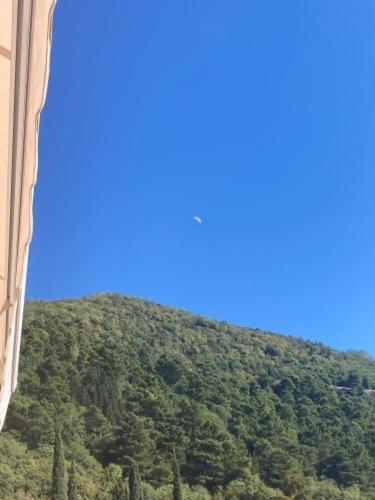 Studio Apartment For Rent In Budva Exterior foto